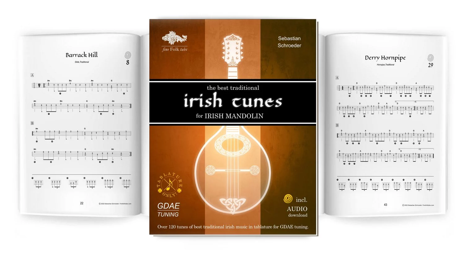 Aufgeschlagenes buch irish mandolin